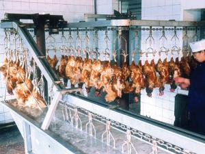 開道口燒雞加盟店需要準備什么？